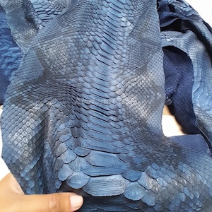 Peut inclure: Une peau de serpent en cuir bleu profond présentant un motif d'écailles répétitif et distinct sur toute la surface. Le matériau affiche une teinte marine riche et saturée avec des variations naturelles dans la texture et la taille des écailles.