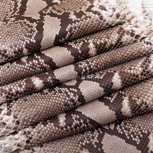 Peut inclure: Une pièce de cuir de serpent pliée présentant un motif répétitif d'écailles brun foncé et beige clair. La texture est très détaillée, montrant la structure naturelle des écailles superposées caractéristique de la peau de reptile en couches.