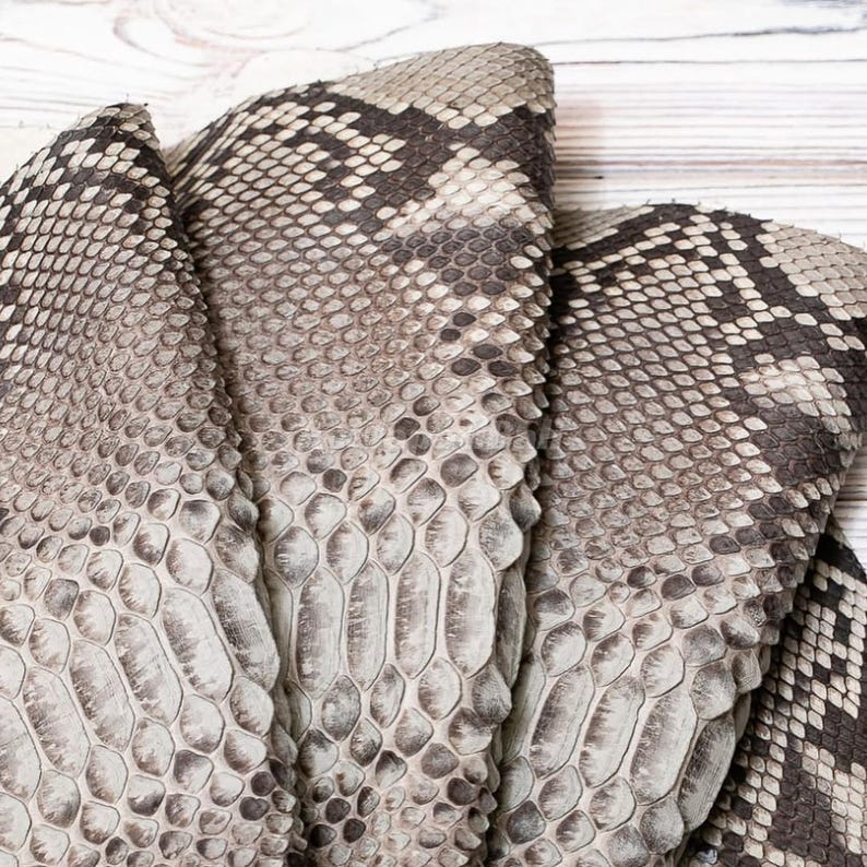 May include: A piece of snakeskin leather featuring a natural scale pattern in shades of cream, beige, and dark brown. The texture is highly detailed with overlapping, diamond-shaped scales that create a distinct, repeating organic visual motif.