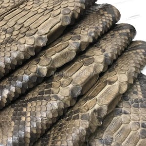 Può includere: Una pila di diversi fogli di pelle di serpente naturale caratterizzati da un motivo a scaglie sovrapposte e testurizzate in tonalità di marrone, grigio e beige. Il materiale presenta una grana organica distinta con scaglie di varie dimensioni.