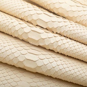Peut inclure: Une feuille de matériau texturé blanc cassé présentant un motif répétitif d'écailles superposées imitant l'apparence d'une peau de serpent. La surface a une finition mate avec une couleur crème claire et uniforme sur toute la pièce.