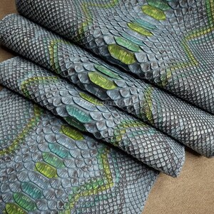 Blauw getint groen pythonleer | Volledige netvormige slangenhuid | Ongebleekte buikhuid van een python