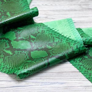 Può includere: Un pezzo di pelle di serpente verde caratterizzato da un motivo a scaglie dettagliato in varie tonalità di verde smeraldo e lime. Il materiale presenta una superficie testurizzata con un design organico ripetitivo ed è piegato per mostrarne la struttura.
