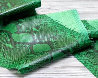 Green Python Leather | Whole Reticulated Snake Hide | Unbleached Python Back Skin