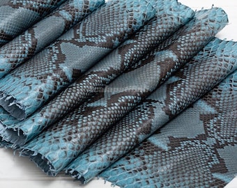 Cuir de python bleu poussiéreux | Peau de serpent réticulée entière | Peau de dos de python non blanchie