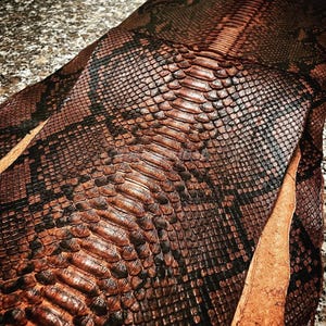 May include: A piece of genuine snakeskin leather featuring a distinct scale pattern in shades of deep brown and black. The material displays a natural texture with a central ridge of larger, elongated scales flanked by smaller, diamond-shaped scales.
