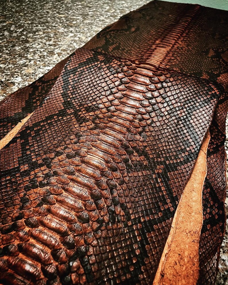 May include: A piece of genuine snakeskin leather featuring a distinct scale pattern in shades of deep brown and black. The material displays a natural texture with a central ridge of larger, elongated scales flanked by smaller, diamond-shaped scales.