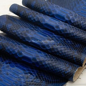 Peut inclure: Une feuille de cuir de serpent bleu profond présentant un motif d'écailles en relief distinct avec une finition brillante. Le matériau est plié en couches, mettant en valeur la texture naturelle et la disposition géométrique des écailles.