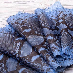 Può includere: Un pezzo di vera pelle di serpente caratterizzato da un distinto motivo a squame nelle tonalità dell'azzurro e del marrone scuro. Il materiale è piegato per mostrare la consistenza e gli strati sovrapposti della pelle di rettile.