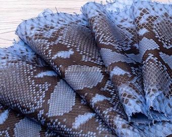 Blue Python Leather | Whole Reticulated Snake Hide | Unbleached Python Back Skin