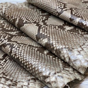 Può includere: Un foglio di pelle di serpente naturale caratterizzato da un motivo a rombi ripetuto in tonalità beige, crema e marrone scuro. La superficie presenta una struttura a scaglie sovrapposte e testurizzate con una finitura lucida e naturale.