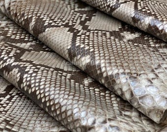 Cuir de python beige crème | Peau de serpent réticulée entière | Peau de dos de python non blanchie