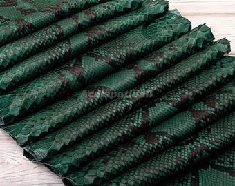 Cuir de python vert foncé | Peau de serpent réticulée entière | Peau de dos de python non blanchie