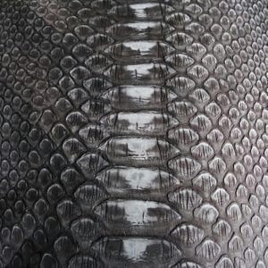Può includere: Una texture in pelle di serpente grigio scuro caratterizzata da una fila centrale prominente di grandi squame rettangolari sovrapposte, affiancata da squame più piccole, arrotondate e a forma di diamante, creando un motivo organico dettagliato.