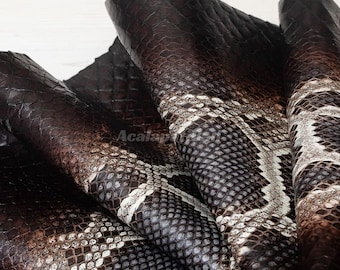 Pele de píton genuína | Pele de lombo marrom-escura não branqueada | Pele de cobra inteira para artesanato