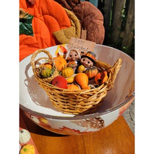 May include: A woven wicker basket filled with miniature pumpkins, gourds, and two small animal figurines wearing hats. A sign with the text Happy Thanksgiving is tucked behind the figures. The basket sits inside a large white bowl with leaf patterns.