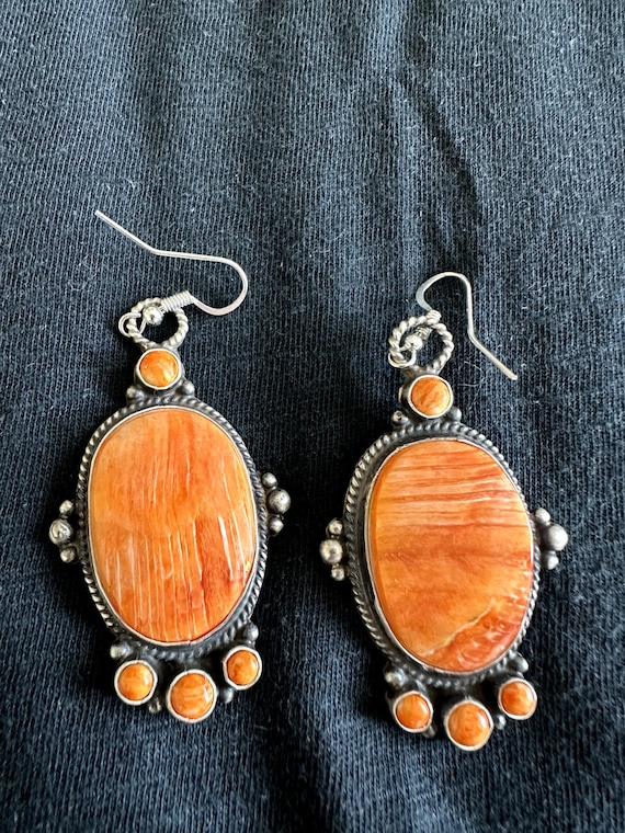 Delvin Brown Large Cabochon Earrings Pierced Spiny