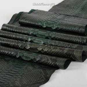 Può includere: Una pelle di serpente color verde bosco scuro con una distinta consistenza a scaglie in rilievo. Il materiale è piegato in più strati, mettendo in mostra il motivo naturale e il colore profondo e monocromatico. Il testo MatelsTanneryID è visibile.