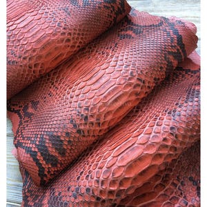Reticulated Snakeskin for Handmade Craft, Red Genuine Reptile Skin