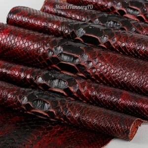 May include: A sheet of deep red and black snakeskin leather featuring a distinct scale pattern. The surface displays a gradient of dark crimson tones transitioning into glossy black highlights. The text MatelsTanneryID is visible.
