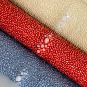 Real Diamond Stingray Skins | Glazed Polish Stingray Hide | Ray Skin for Leather Manufacturing