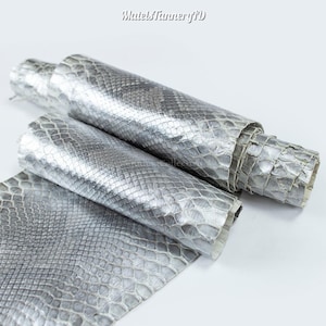 Real Unbleached Silver Reticulated Python Hide | Foil Back Snake Skin | Whole Leather for Exotic Handcrafting