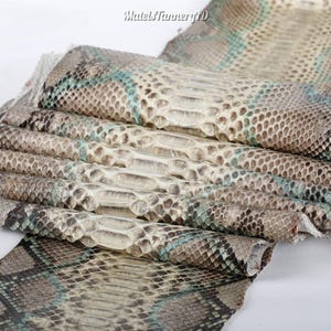 Real Unbleached Natural Gray Reticulated Python Hide | Glossy Belly Snake Skin | Whole Leather for Exotic Handcrafting