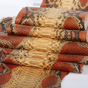 Peut inclure: Une pièce de cuir de serpent pliée présentant un motif répétitif de grandes écailles beige clair au centre, flanquées d'écailles plus petites et texturées dans des tons orange brûlé, rouge profond et noir. Le texte MatelsTanneryID est visible.