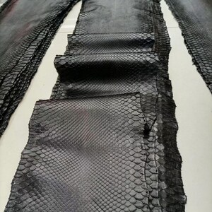 Graphite Black Python Skin, Genuine Exotic Skin for Craftsman Project