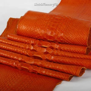 Real Bleached Orange Reticulated Python Hide | Glossy Belly Snake Skin | Whole Leather for Exotic Handcrafting