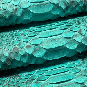Reticulated Python Skin for Handcrafting, Green Tropical Teal Real Exotic Skin