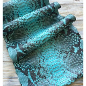 Turquoise Blue Reticulated Python Skin, Real Reptile Skin for Craftsman Project