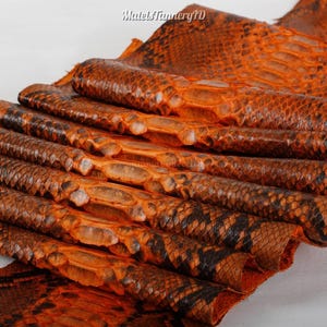 Può includere: Un pezzo di pelle di serpente arancione e nera caratterizzato da un distinto motivo a squame. Il materiale è piegato in strati, mettendo in mostra la superficie strutturata e la disposizione organica naturale delle squame. Il testo MatelsTanneryID è visibile.