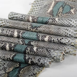 May include: A collection of rolled snakeskin leather sheets featuring a textured scale pattern in shades of grey, white, and teal. The material displays a repeating organic design with distinct dark and light scales. The text MatelsTanneryID is visible.