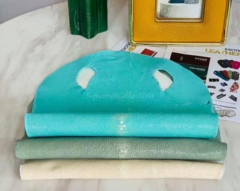 May include: Three rolled sheets of stingray leather in turquoise, sage green, and cream colours. Each sheet features a distinct pebbled texture with a central white circular pattern. The leather is displayed alongside a yellow frame and brochures.