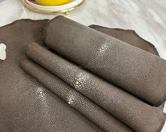 Real Diamond Stingray Skins | Brown Glazed Polish Stingray Hide | Ray Skin for Leather Manufacturing