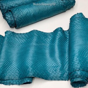 Real Bleached Turquoise Reticulated Python Hide | Matte Back Snake Skin | Whole Leather for Handcrafting