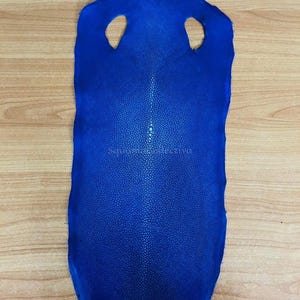 Puede incluir: Una piel de raya azul vibrante con una superficie texturizada distintiva y un patrón central de columna vertebral calcificada blanca. La piel tiene una forma alargada e irregular con dos recortes circulares simétricos y el texto MatelsTanneryID.