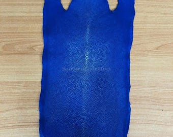 Real Diamond Stingray Skins | Blue Glazed Polish Stingray Hide | Ray Skin for Leather Manufacturing