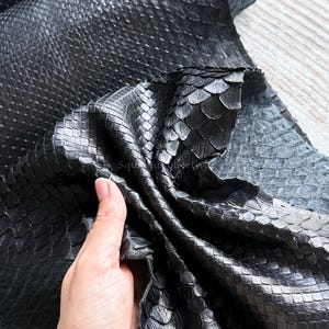 Snake Skin for Artisan Supplies, Real Reptile Skin