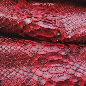 Real Unbleached Red Reticulated Python Hide | Glossy Belly Snake Skin | Whole Leather for Exotic Handcrafting