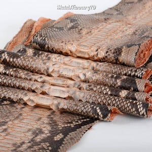 Real Unbleached Peach Reticulated Python Hide | Matte Belly Snake Skin | Whole Leather for Exotic Handcrafting