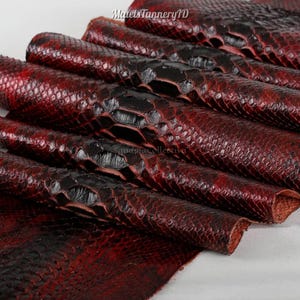 Real Unbleached Red Gradation Reticulated Python Hide | Glossy Belly Snake Skin | Whole Leather for Exotic Handcrafting