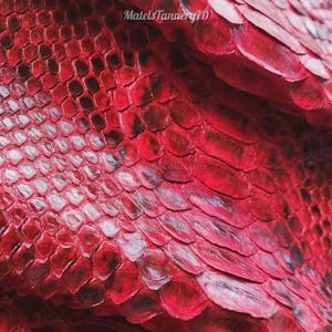 May include: A vibrant red snakeskin leather material featuring a distinct, overlapping scale pattern with dark shading. The surface displays a glossy finish and includes the text MatelsTanneryID printed in a subtle white font across the top.