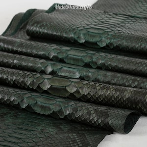 May include: A dark forest green snakeskin leather hide with a distinct scale pattern and a smooth, glossy finish. The surface features the text MatelsTanneryID and SquamaCollectiva printed in a subtle, light-colored font across the material.