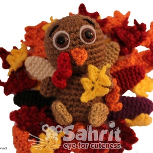 English PATTERN Instant Download O-So-Cute Tompkin the Turkey Crochet Amigurumi image 3