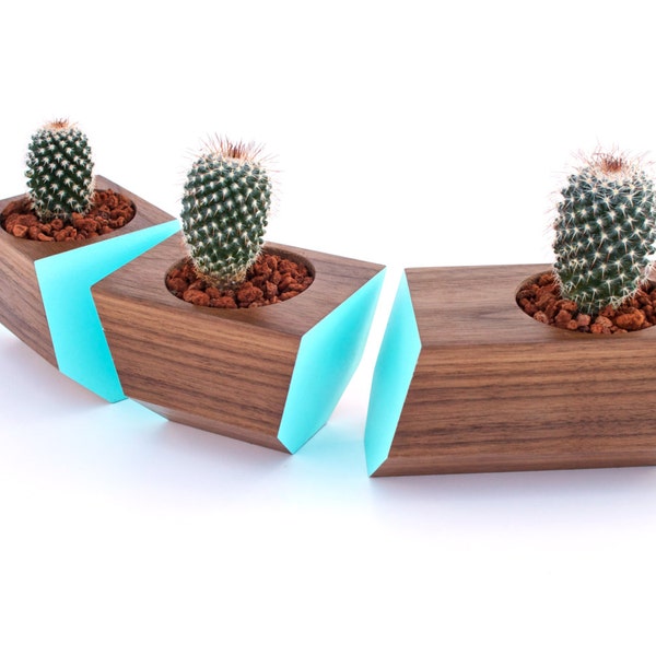 Boxcar Succulent Planters - Solid Walnut with Robin Egg Blue