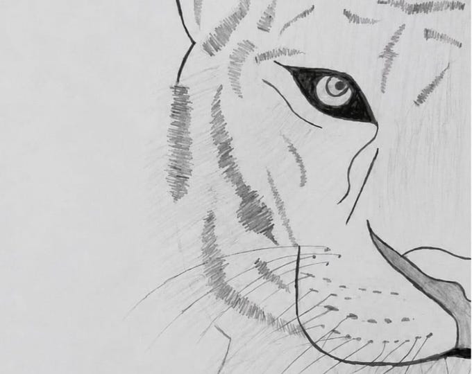 Fierce Tiger Eyes Sketch – Digital Print Download, Original Pencil Art