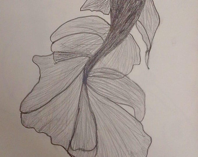 Bloom & Fin Original Pencil Drawing