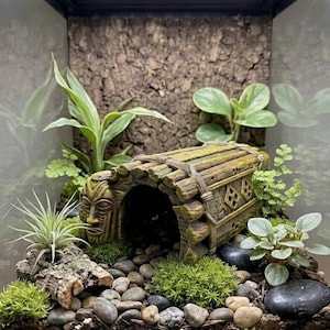 Peut inclure: Un terrarium comprenant une cachette décorative en résine de style tiki avec un visage sculpté, entourée de petites plantes vertes, de mousse et de galets. L'enclos possède un fond en écorce de liège et un éclairage LED au-dessus.